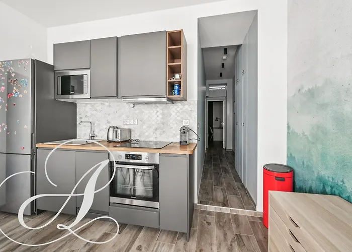 Oasis, Superbe 3 A 15eme * פריז